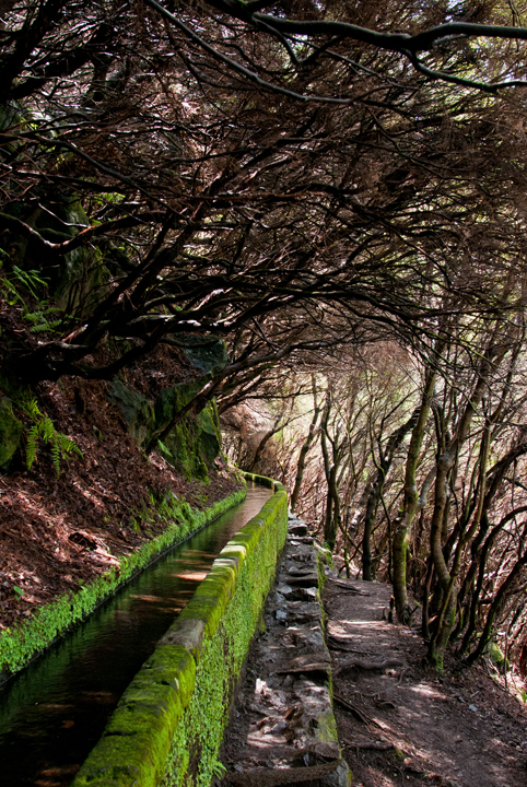 432_Madera_Levada das 25 Fontes.jpg